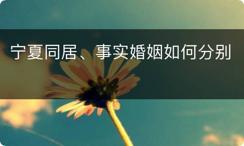 宁夏同居、事实婚姻如何分别