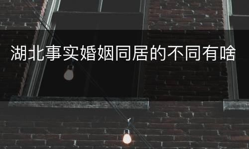 湖北事实婚姻同居的不同有啥