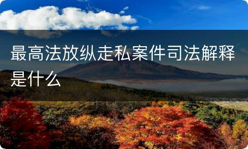 最高法放纵走私案件司法解释是什么