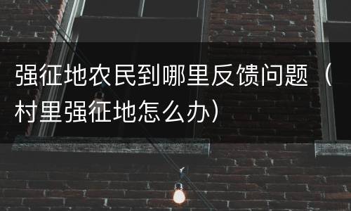 强征地农民到哪里反馈问题（村里强征地怎么办）