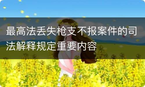 最高法丢失枪支不报案件的司法解释规定重要内容
