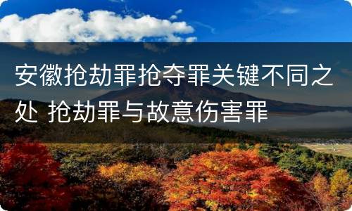 安徽抢劫罪抢夺罪关键不同之处 抢劫罪与故意伤害罪