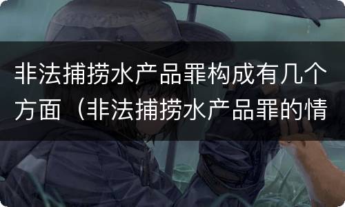 非法捕捞水产品罪构成有几个方面（非法捕捞水产品罪的情节严重）