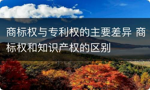 商标权与专利权的主要差异 商标权和知识产权的区别