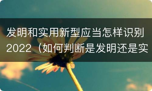 发明和实用新型应当怎样识别2022（如何判断是发明还是实用新型）
