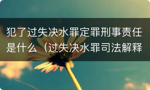 犯了过失决水罪定罪刑事责任是什么（过失决水罪司法解释）