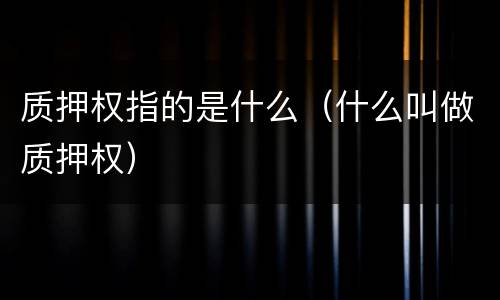 质押权指的是什么（什么叫做质押权）