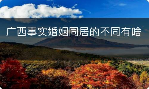 广西事实婚姻同居的不同有啥