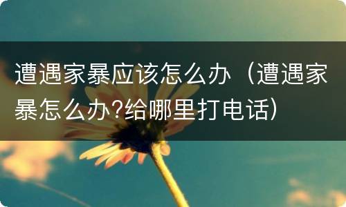 遭遇家暴应该怎么办（遭遇家暴怎么办?给哪里打电话）