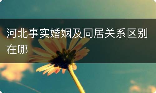 河北事实婚姻及同居关系区别在哪