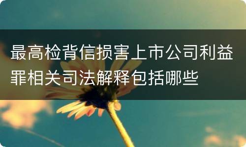 最高检背信损害上市公司利益罪相关司法解释包括哪些