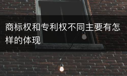 商标权和专利权不同主要有怎样的体现