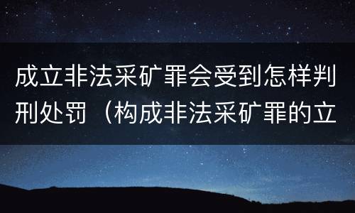 成立非法采矿罪会受到怎样判刑处罚（构成非法采矿罪的立案标准）