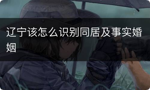 辽宁该怎么识别同居及事实婚姻