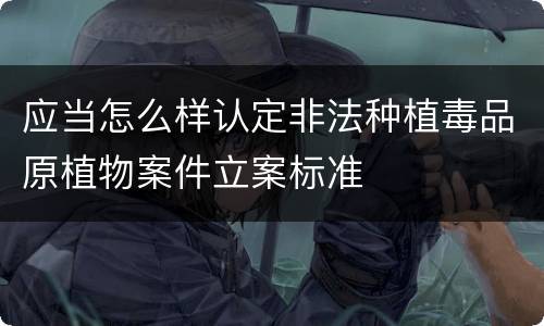 应当怎么样认定非法种植毒品原植物案件立案标准