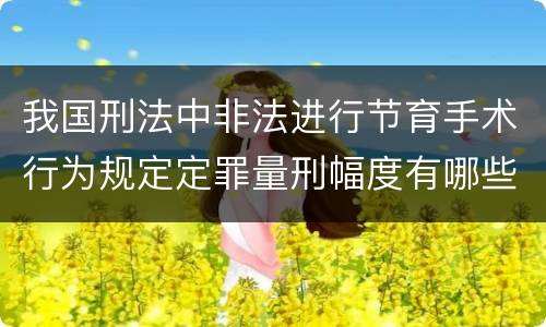 我国刑法中非法进行节育手术行为规定定罪量刑幅度有哪些