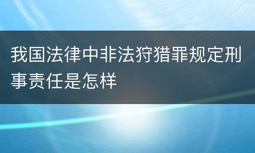 我国法律中非法狩猎罪规定刑事责任是怎样