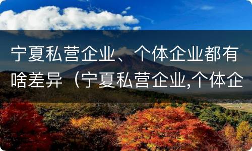 宁夏私营企业、个体企业都有啥差异（宁夏私营企业,个体企业都有啥差异吗）