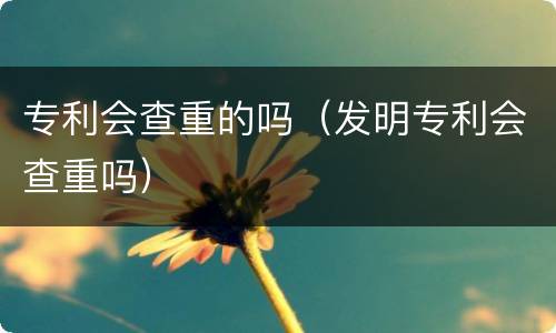 专利会查重的吗（发明专利会查重吗）