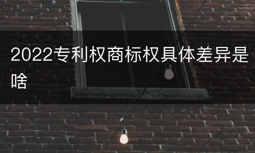 2022专利权商标权具体差异是啥