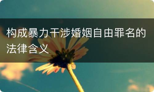 构成暴力干涉婚姻自由罪名的法律含义