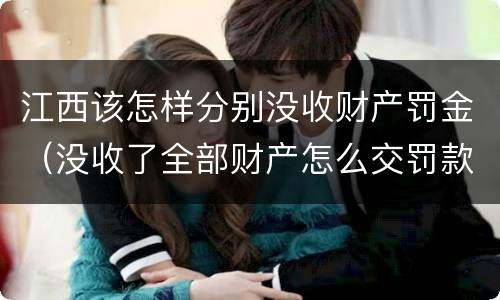 江西该怎样分别没收财产罚金（没收了全部财产怎么交罚款）