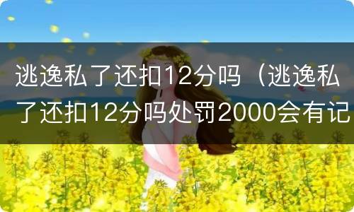 逃逸私了还扣12分吗（逃逸私了还扣12分吗处罚2000会有记录吗）