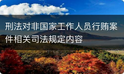 刑法对非国家工作人员行贿案件相关司法规定内容