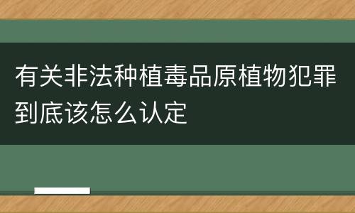 有关非法种植毒品原植物犯罪到底该怎么认定