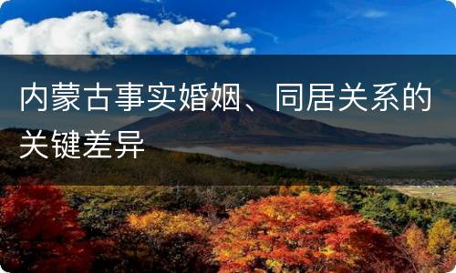 内蒙古事实婚姻、同居关系的关键差异