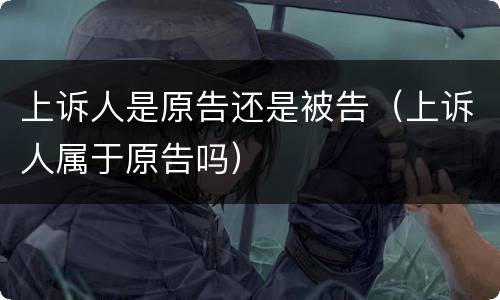 上诉人是原告还是被告（上诉人属于原告吗）