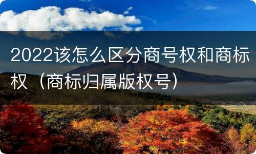 2022该怎么区分商号权和商标权（商标归属版权号）