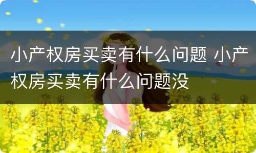 小产权房买卖有什么问题 小产权房买卖有什么问题没