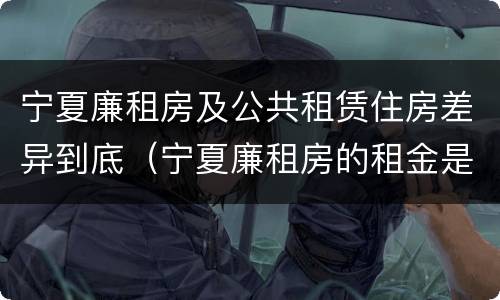 宁夏廉租房及公共租赁住房差异到底（宁夏廉租房的租金是多少钱）