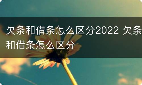 欠条和借条怎么区分2022 欠条和借条怎么区分