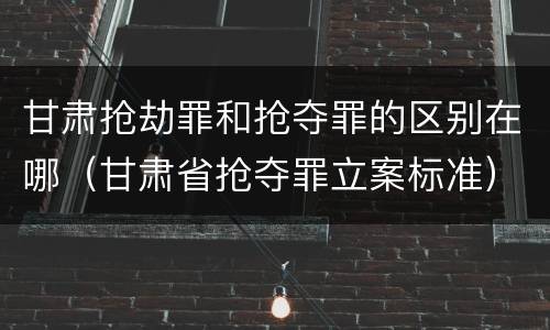 甘肃抢劫罪和抢夺罪的区别在哪（甘肃省抢夺罪立案标准）