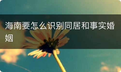 海南要怎么识别同居和事实婚姻