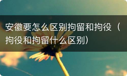 安徽要怎么区别拘留和拘役（拘役和拘留什么区别）