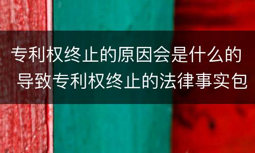 专利权终止的原因会是什么的 导致专利权终止的法律事实包括