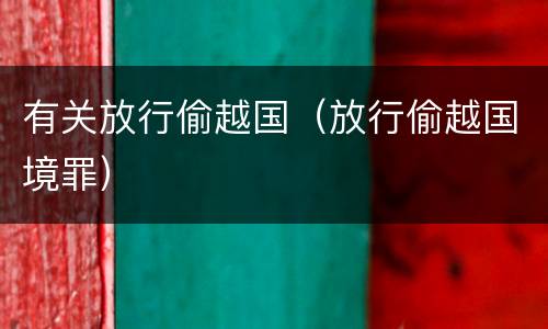 有关放行偷越国（放行偷越国境罪）