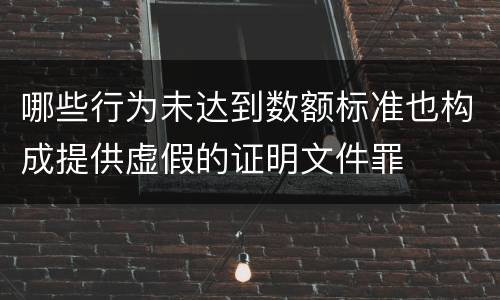 哪些行为未达到数额标准也构成提供虚假的证明文件罪
