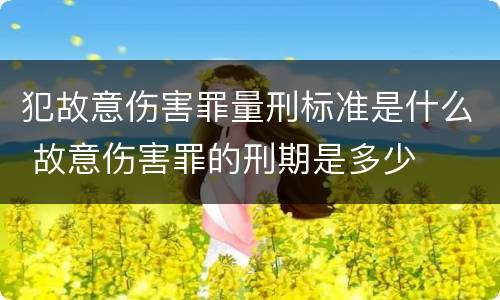 犯故意伤害罪量刑标准是什么 故意伤害罪的刑期是多少