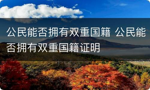 公民能否拥有双重国籍 公民能否拥有双重国籍证明