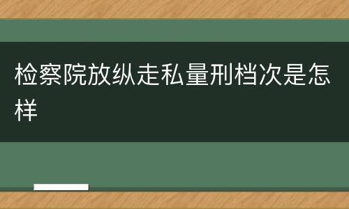 检察院放纵走私量刑档次是怎样
