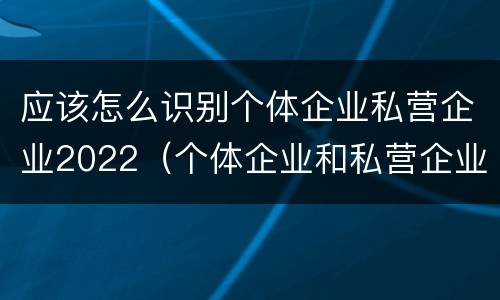 应该怎么识别个体企业私营企业2022（个体企业和私营企业）
