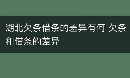 湖北欠条借条的差异有何 欠条和借条的差异