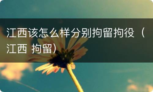 江西该怎么样分别拘留拘役（江西 拘留）
