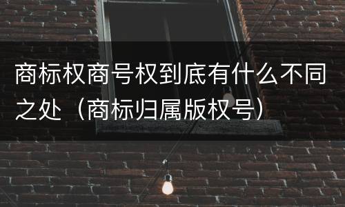 商标权商号权到底有什么不同之处（商标归属版权号）