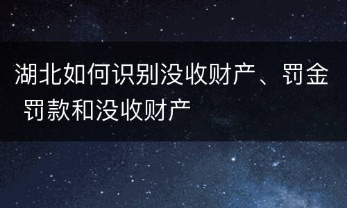 湖北如何识别没收财产、罚金 罚款和没收财产
