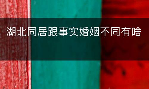 湖北同居跟事实婚姻不同有啥